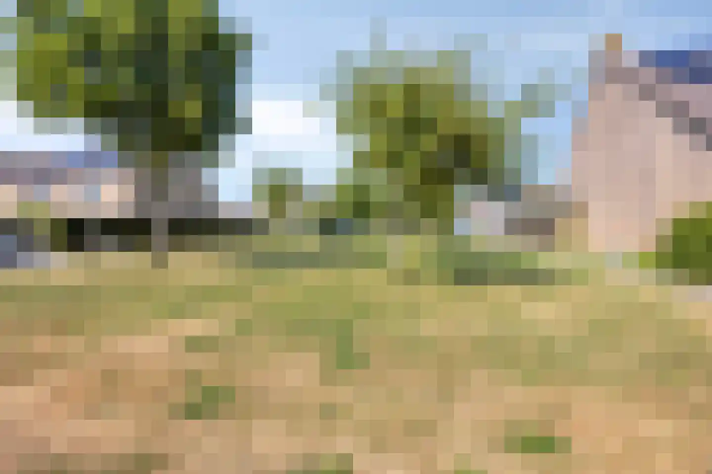 Bloemhofplein 13 Zuidland thumbnail 35
