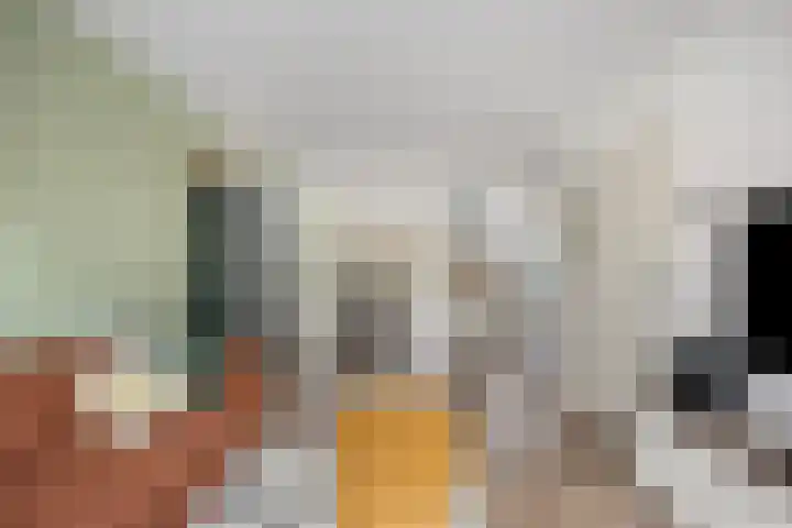 Bloemhofstraat 1 Leiderdorp thumbnail 10