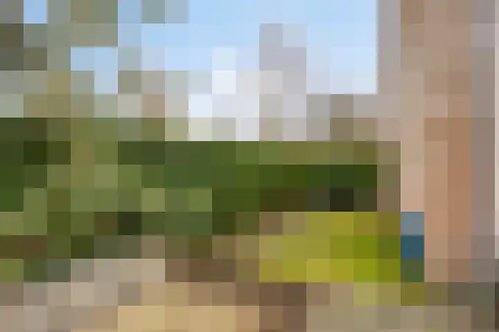 Bloemhofstraat 1 Leiderdorp thumbnail 22