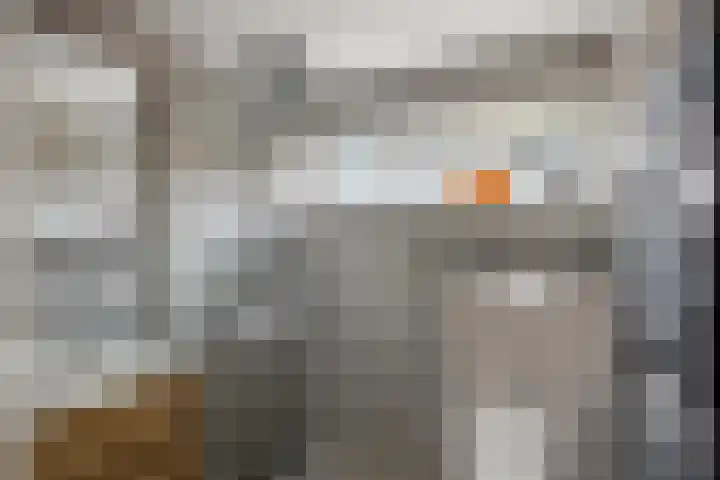 Bloemhofstraat 1 Leiderdorp thumbnail 5