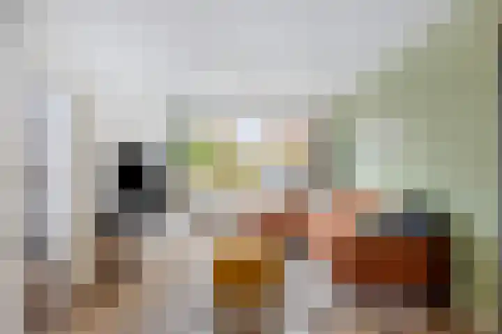 Bloemhofstraat 1 Leiderdorp thumbnail 9