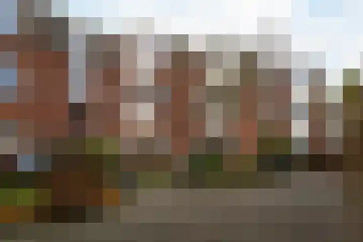 Bloemhofstraat 20 A Haarlem thumbnail 18