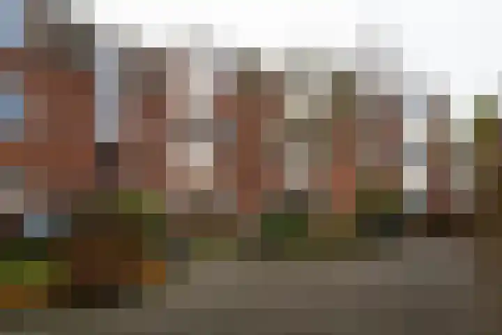Bloemhofstraat 20 A Haarlem thumbnail 19