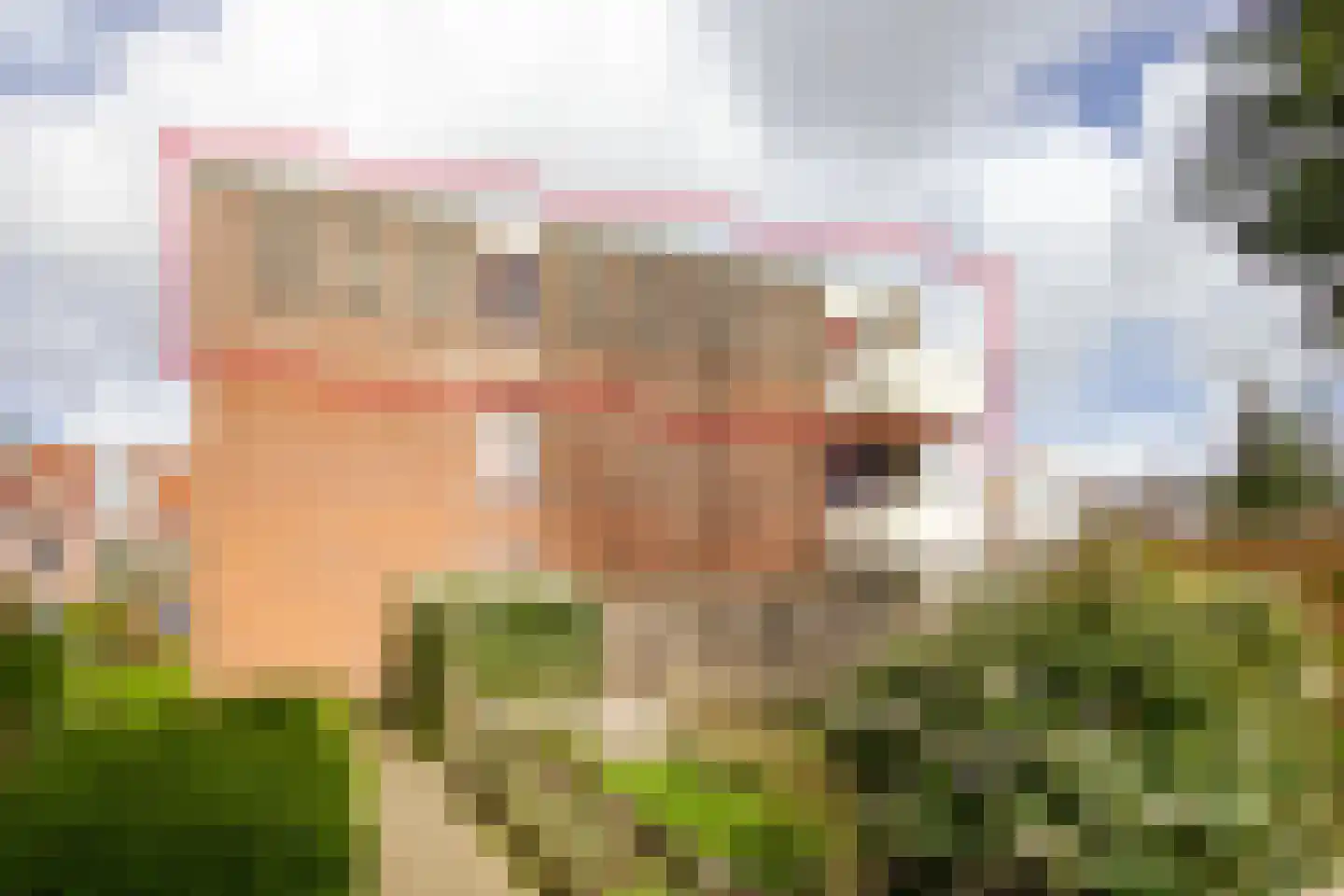 Bloemhofstraat 20 E Haarlem thumbnail 38