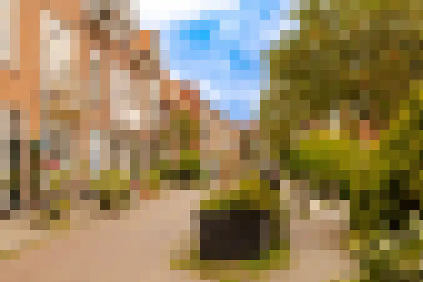 Bloemhofstraat 22 A Haarlem thumbnail 33