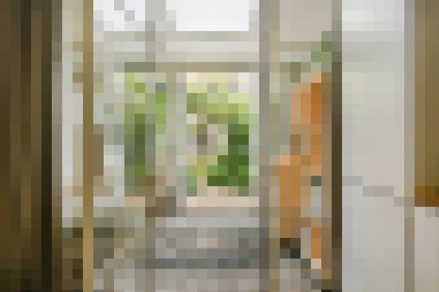 Bloemhofstraat 5 ZW Haarlem thumbnail 12