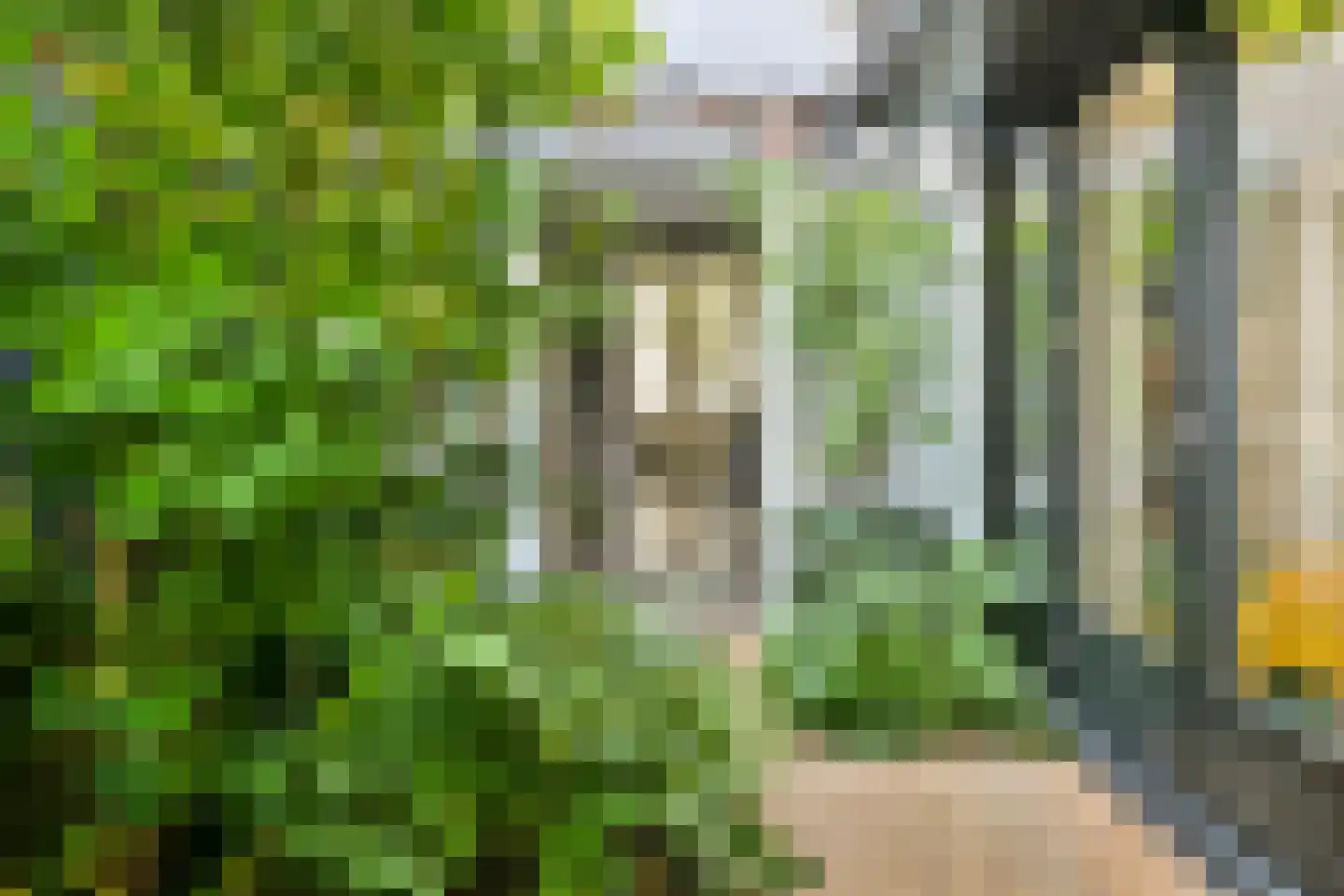 Bloemhofstraat 5 ZW Haarlem thumbnail 17