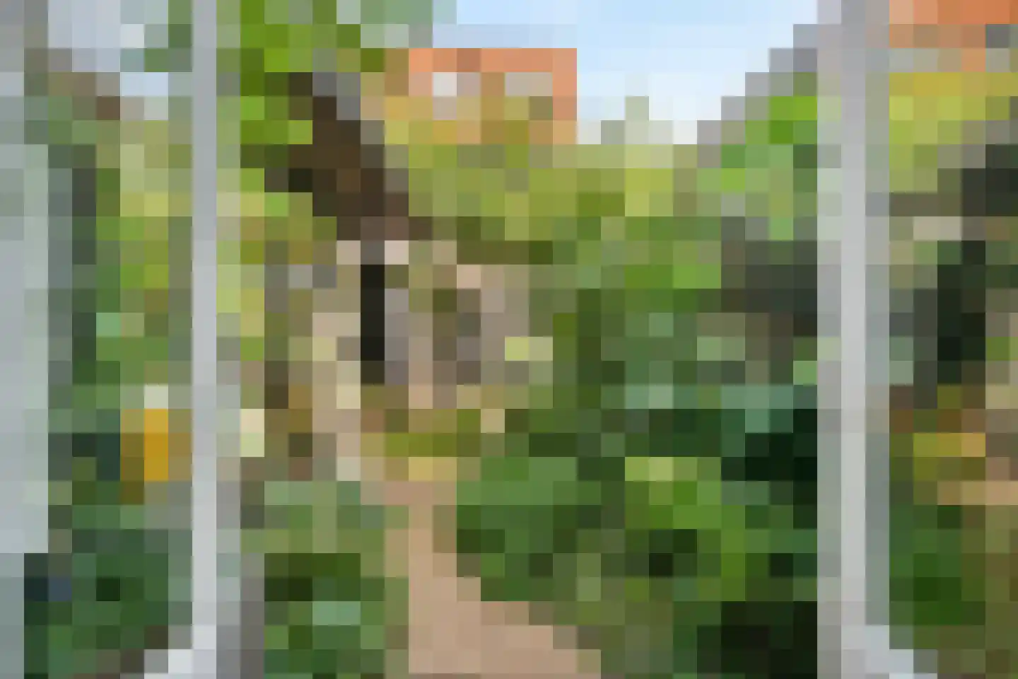 Bloemhofstraat 5 ZW Haarlem thumbnail 4