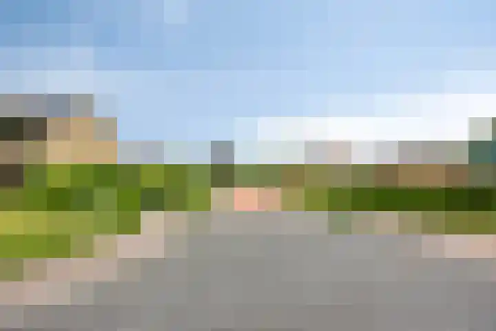 Bloemhofweg 104 Nunspeet thumbnail 28