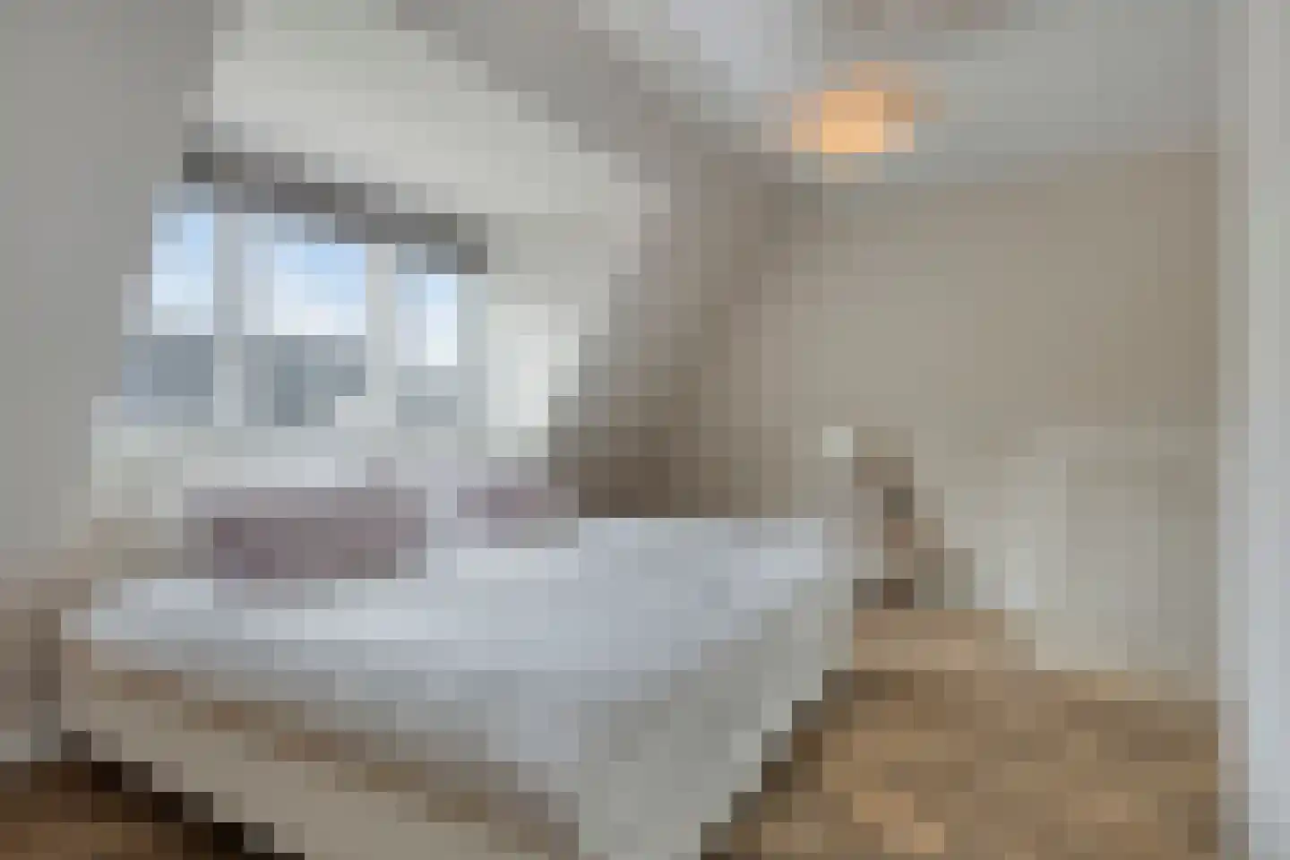 Bloemistenhof 3 Leiden thumbnail 28
