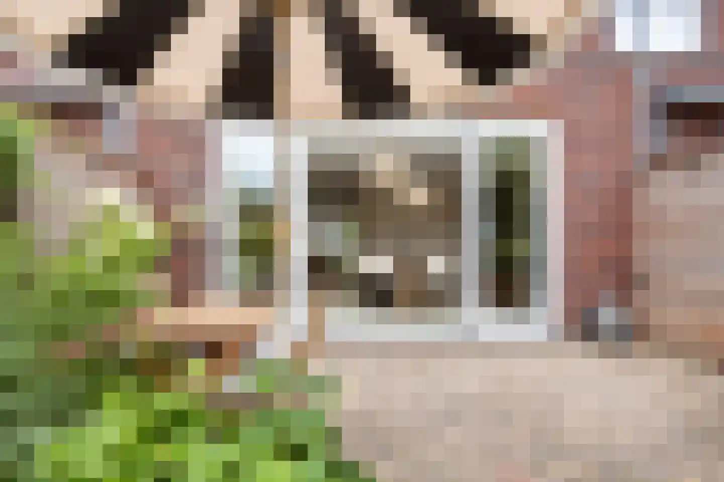 Bloemistenhof 3 Leiden thumbnail 36