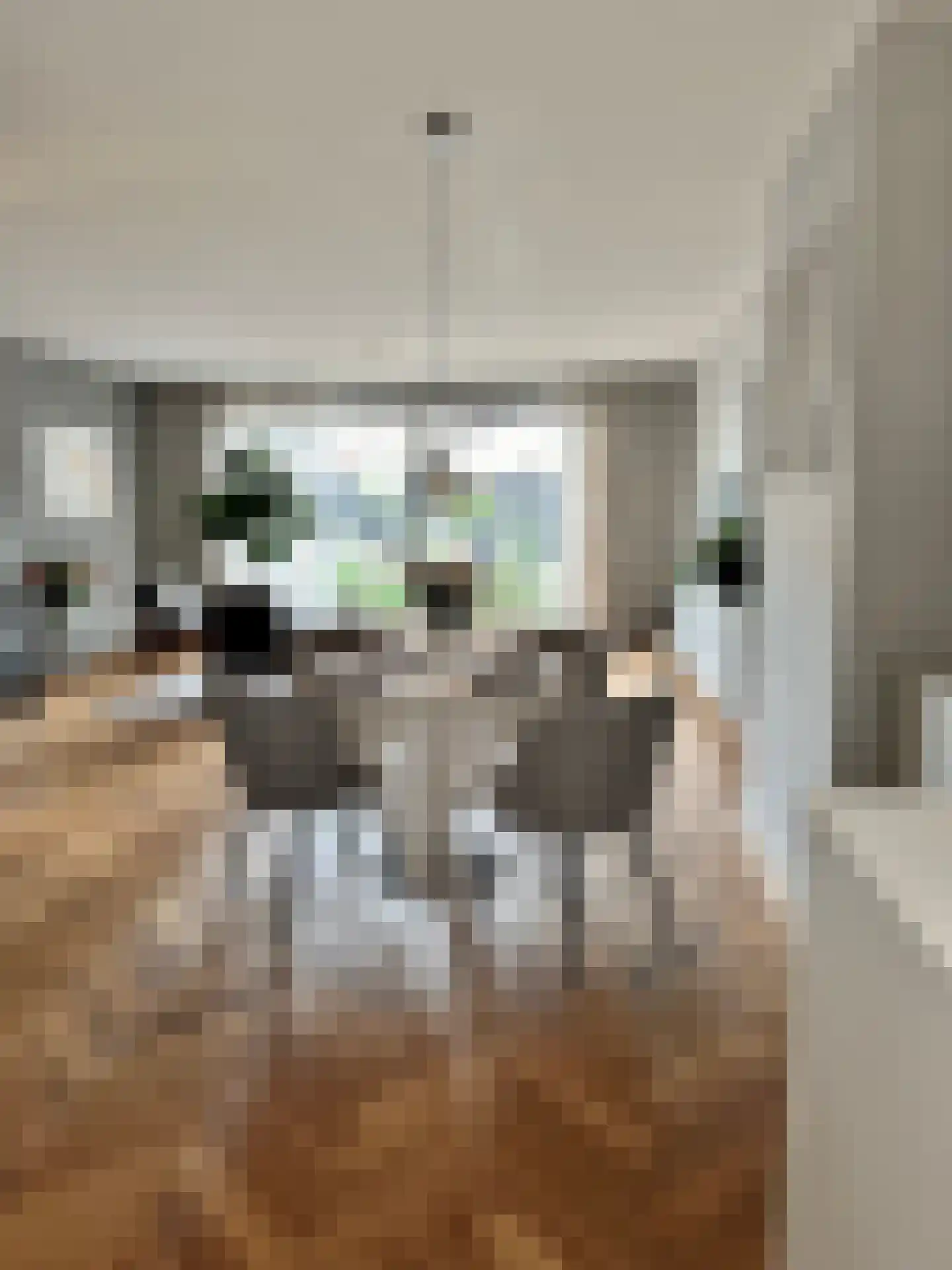 Bloemistenhof 7 Leiden thumbnail 12