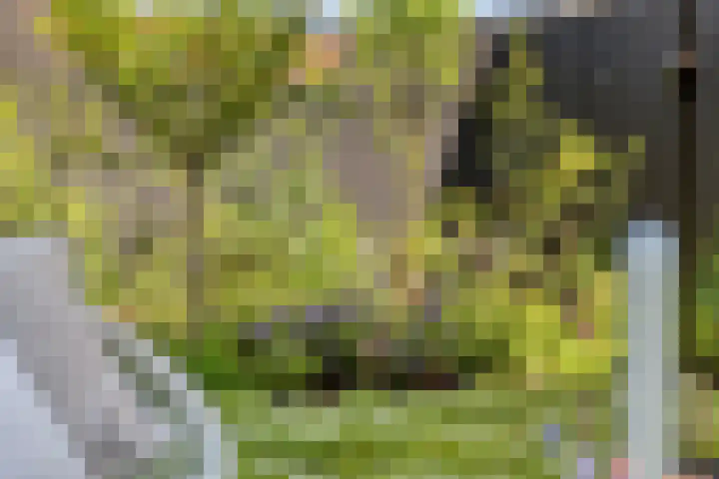 Bloemistenhof 7 Leiden thumbnail 17