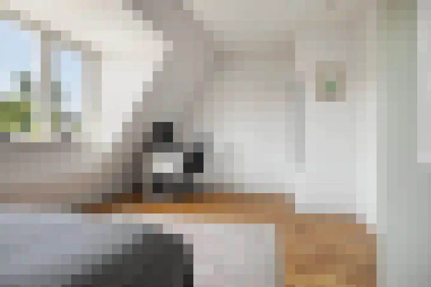 Bloemistenhof 7 Leiden thumbnail 30