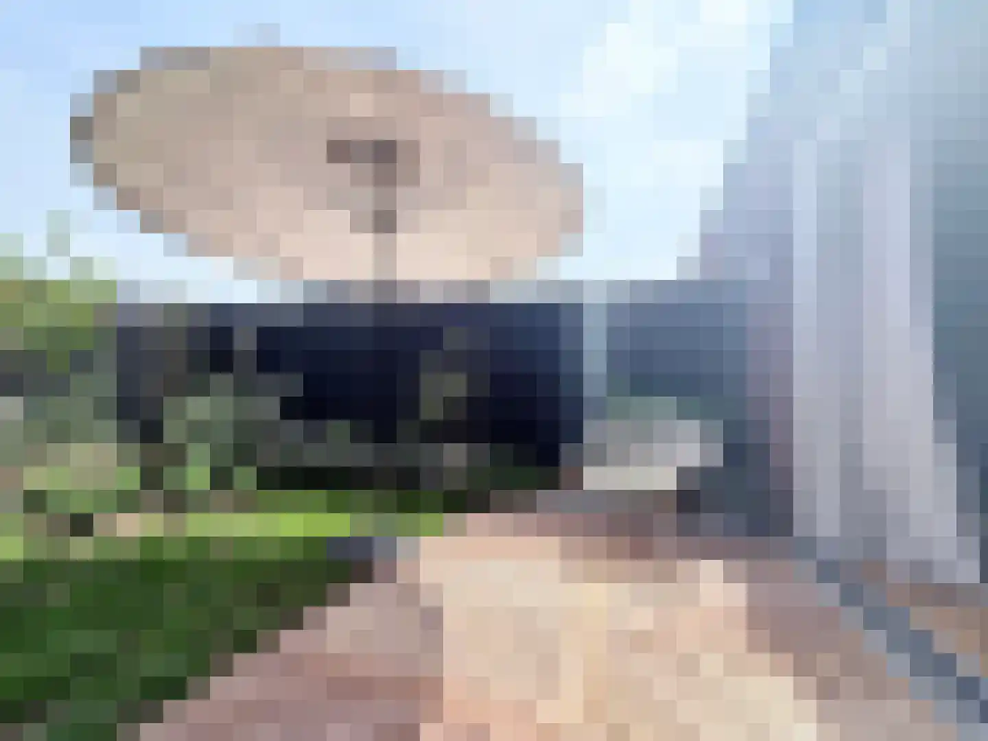 Bloemistenhof 7 Leiden thumbnail 7