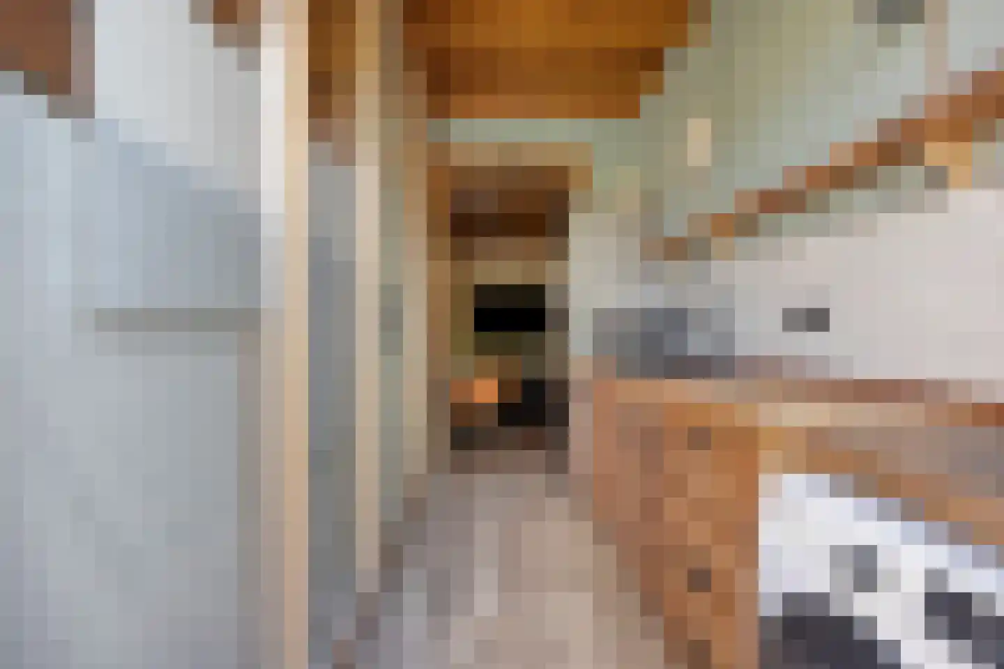 Bloemistenlaan 12 Leiden thumbnail 11