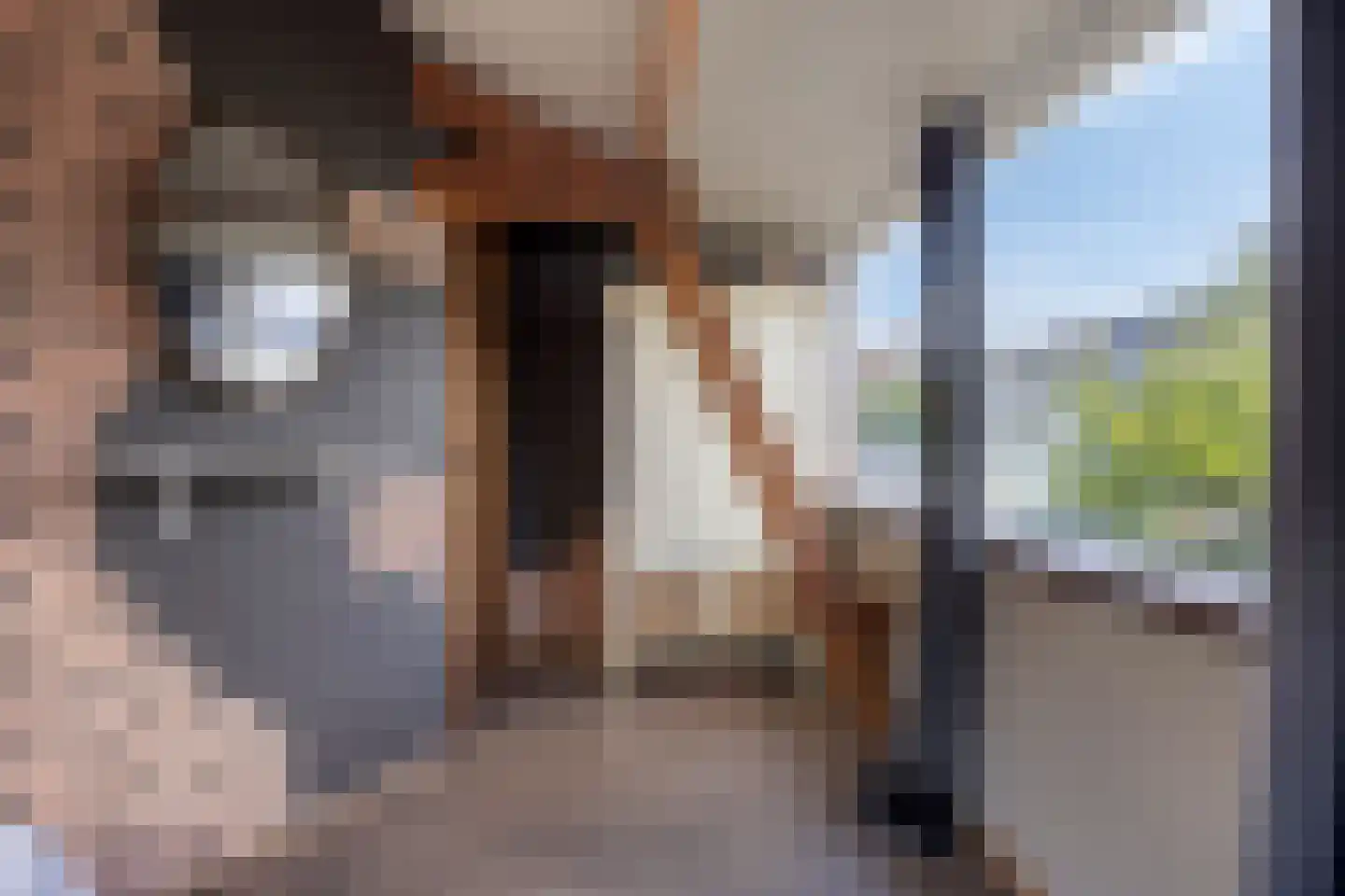 Bloemistenlaan 12 Leiden thumbnail 21