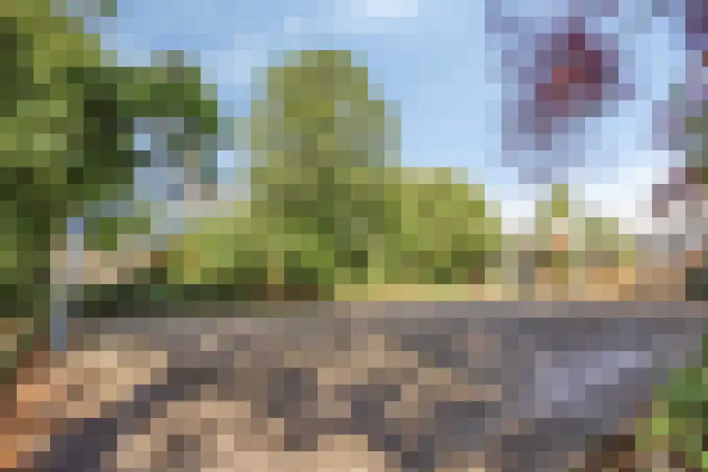 Bloemistenlaan 12 Leiden thumbnail 36