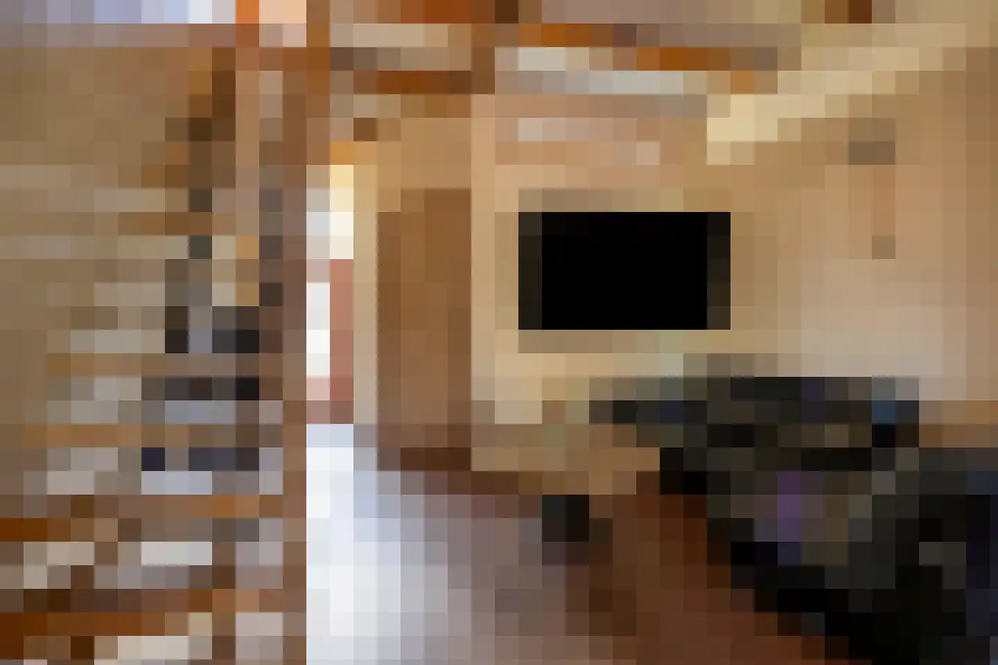 Bloemistenlaan 12 Leiden thumbnail 6