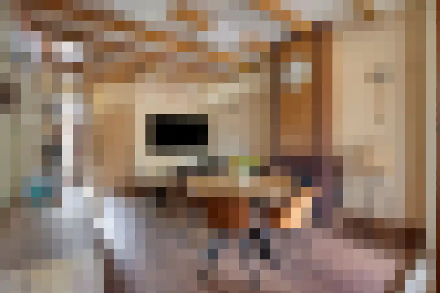 Bloemistenlaan 12 Leiden thumbnail 9