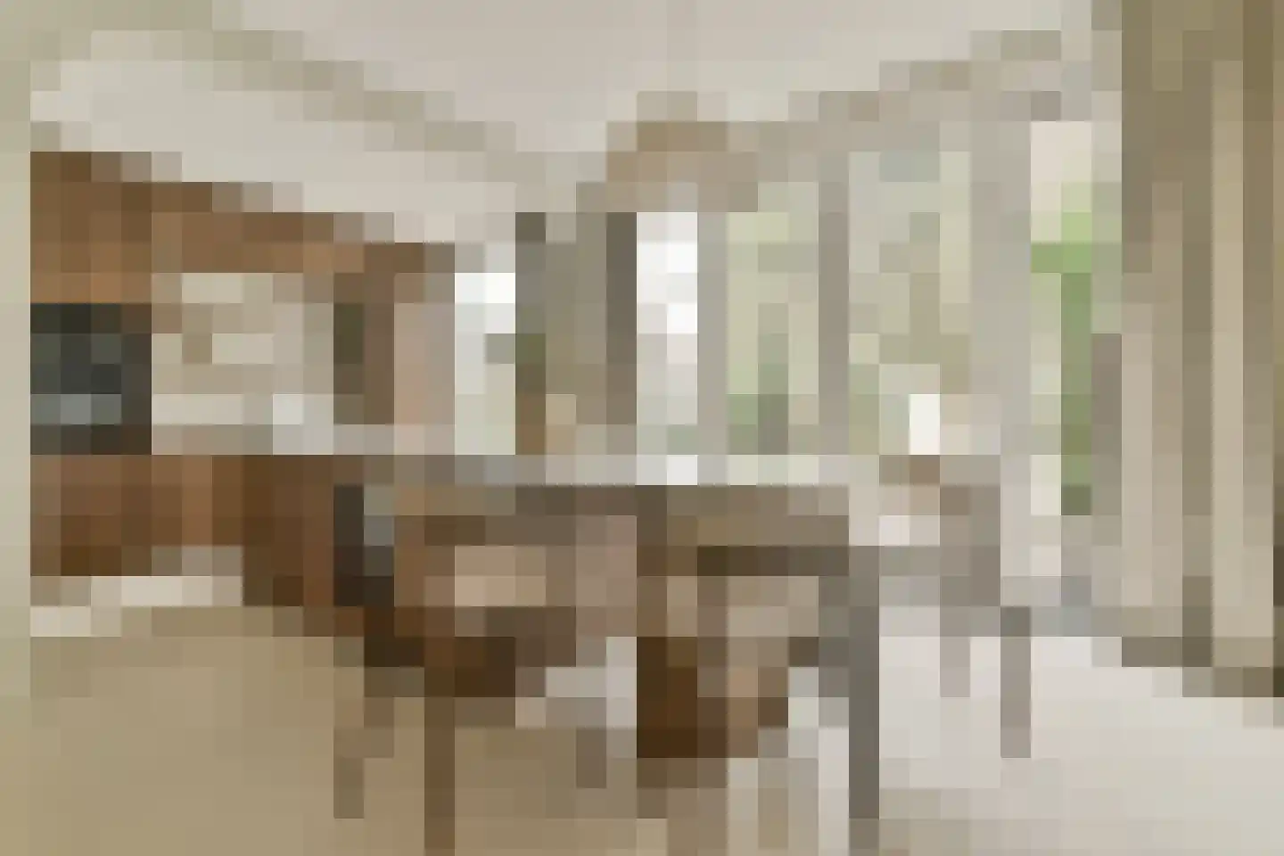 Bloemistenlaan 46 Leiden thumbnail 17