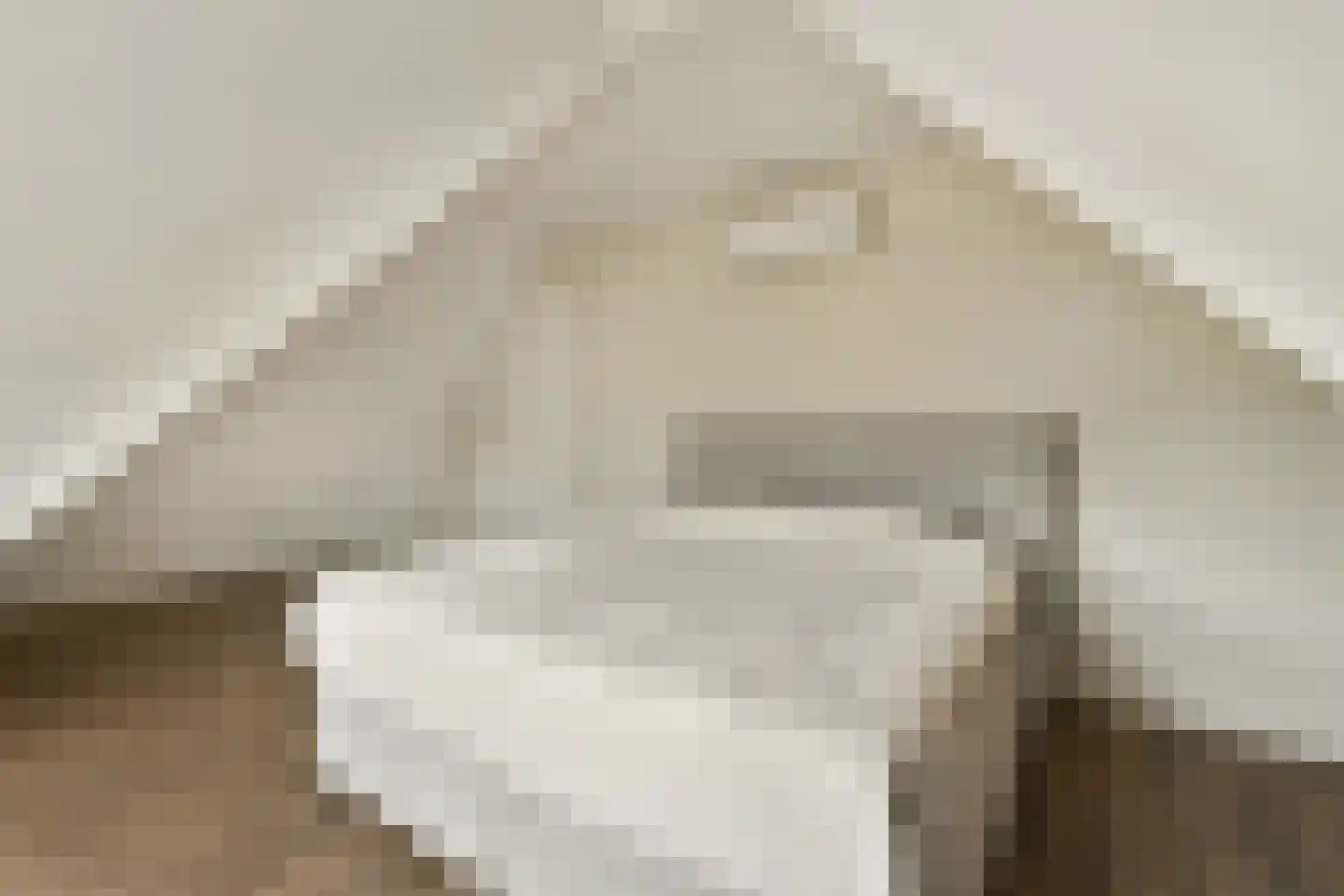 Bloemistenlaan 46 Leiden thumbnail 37