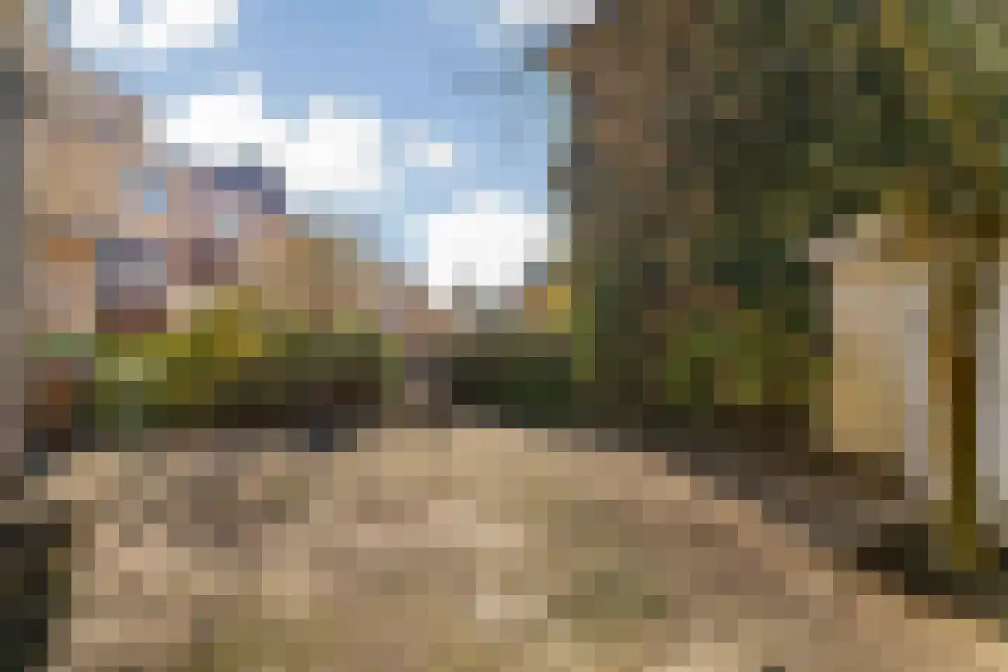 Bloemistenlaan 46 Leiden thumbnail 45