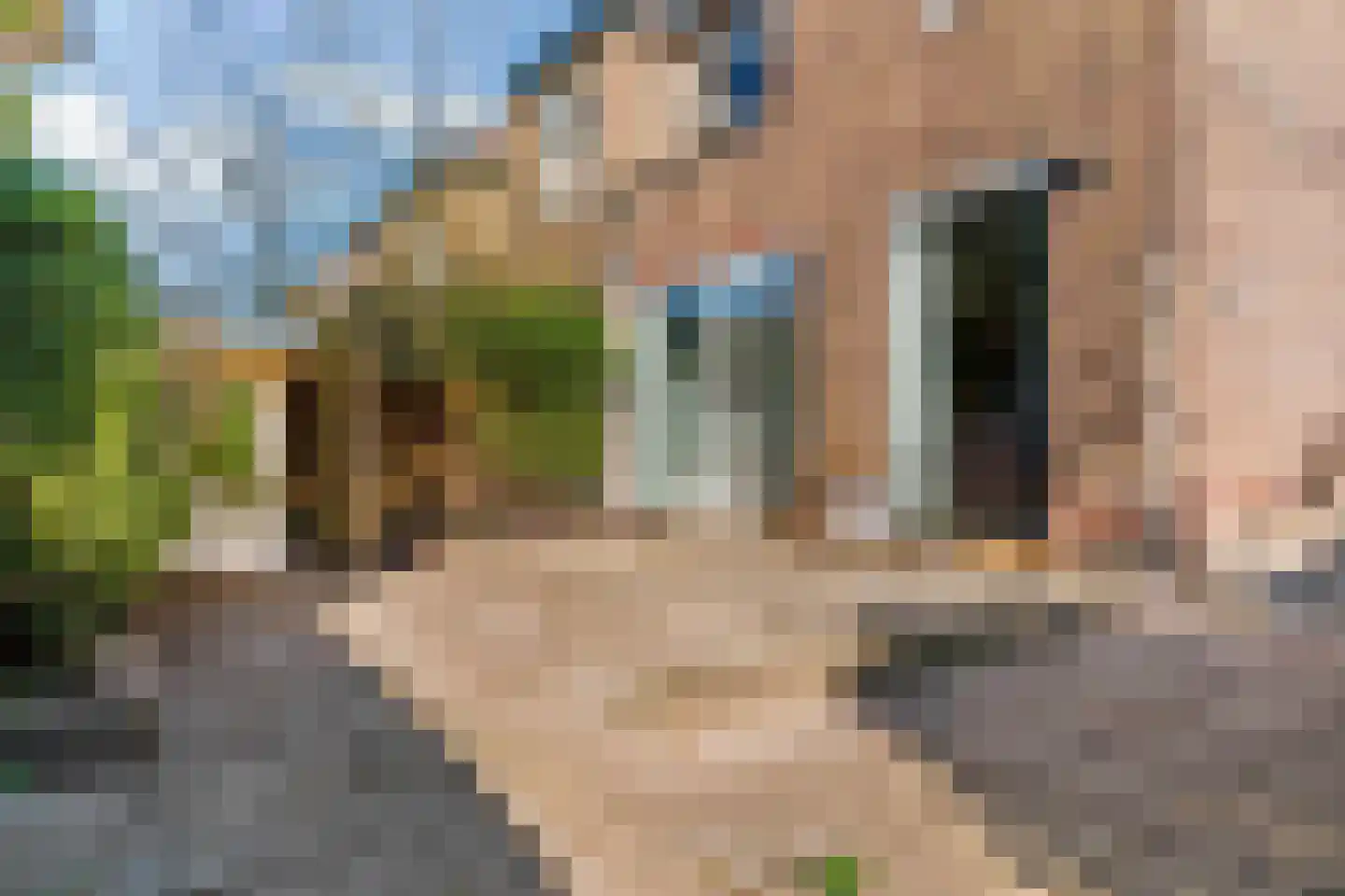 Bloemistenlaan 46 Leiden thumbnail 47