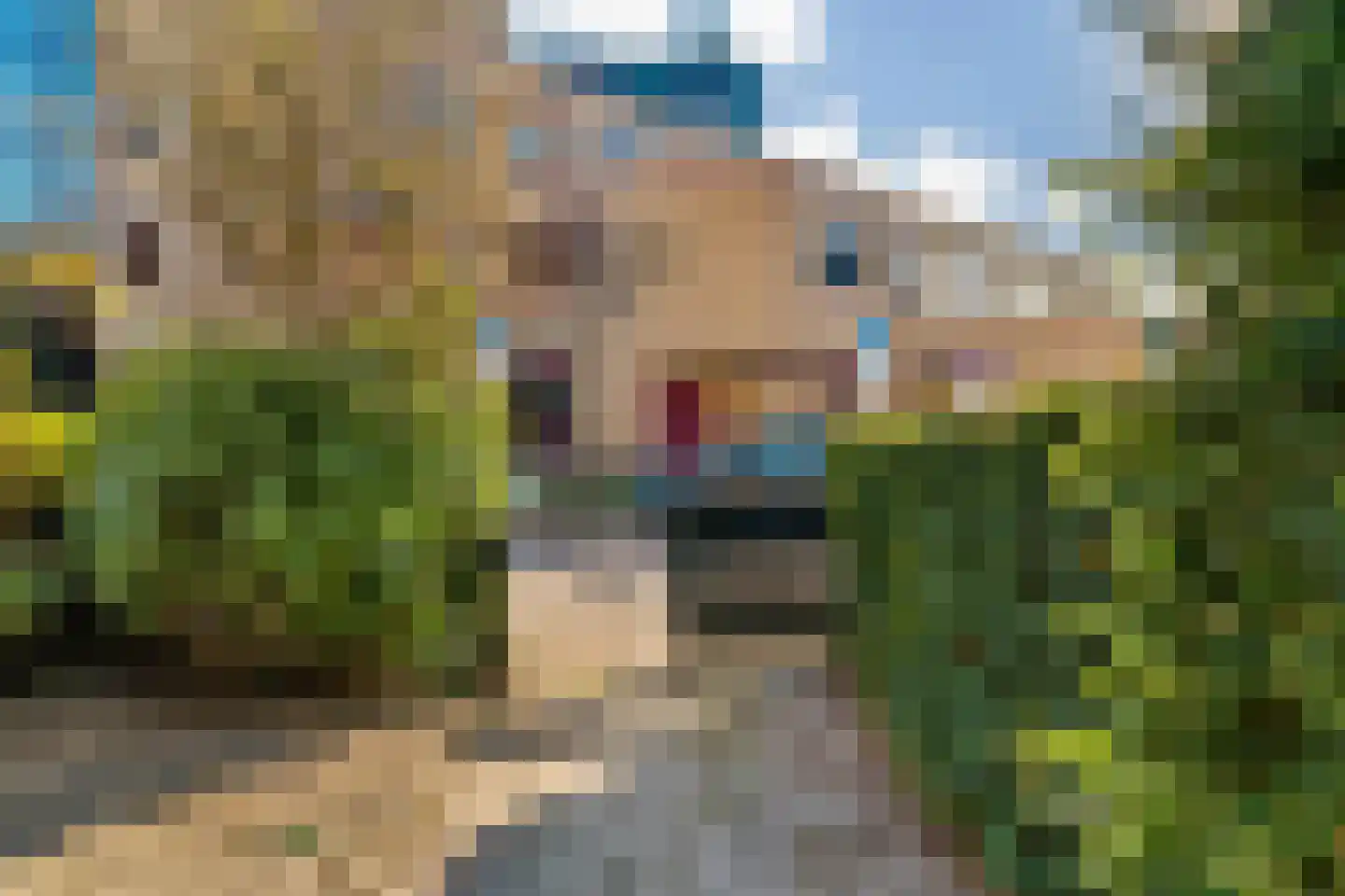 Bloemistenlaan 46 Leiden thumbnail 48