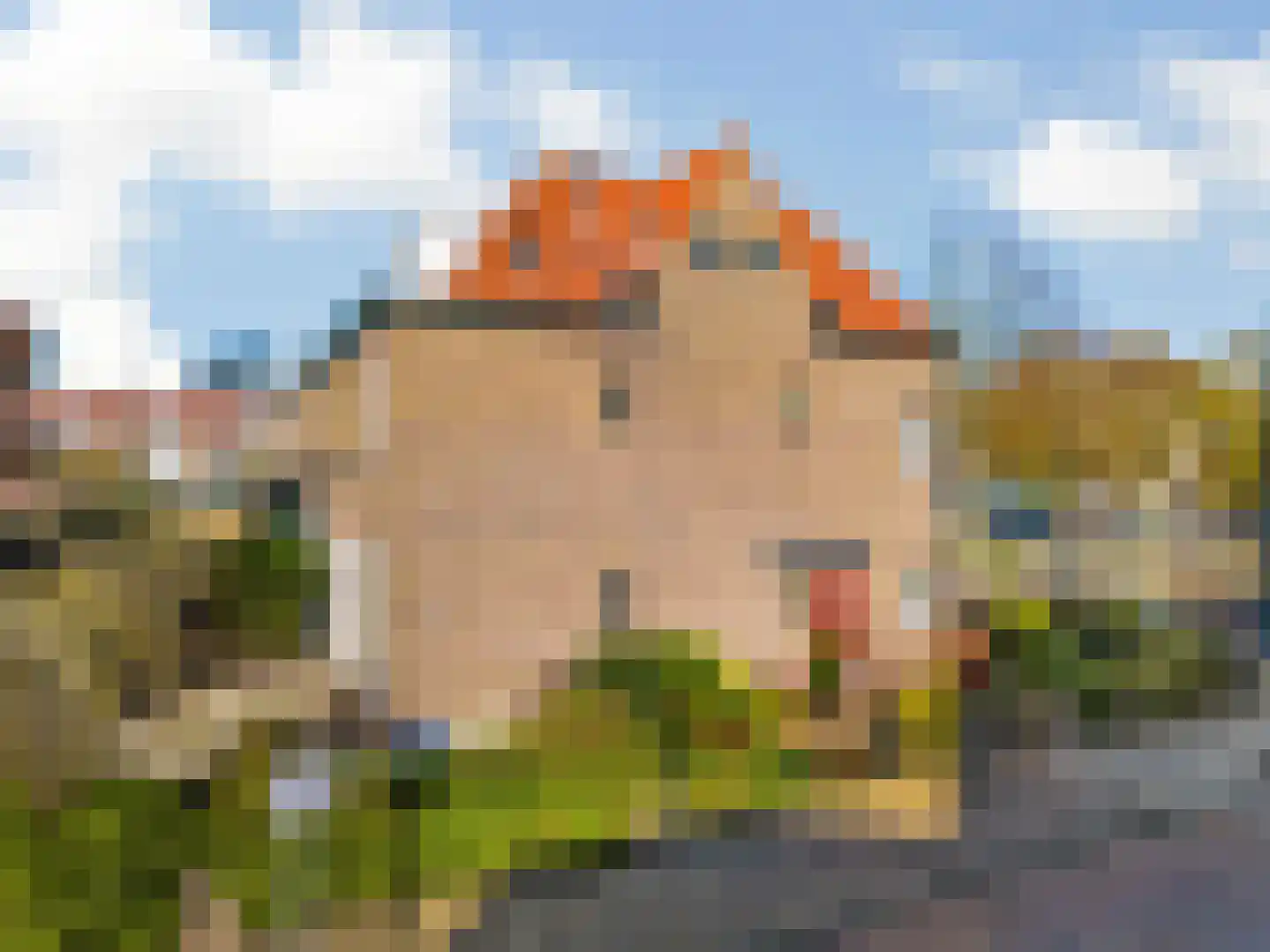 Bloemistenlaan 46 Leiden thumbnail 6