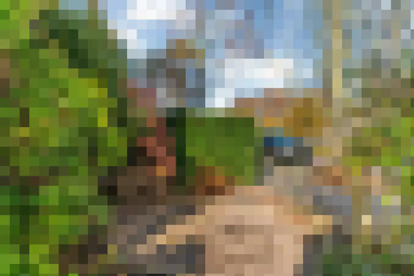 Bloemistenlaan 46 Leiden thumbnail 8