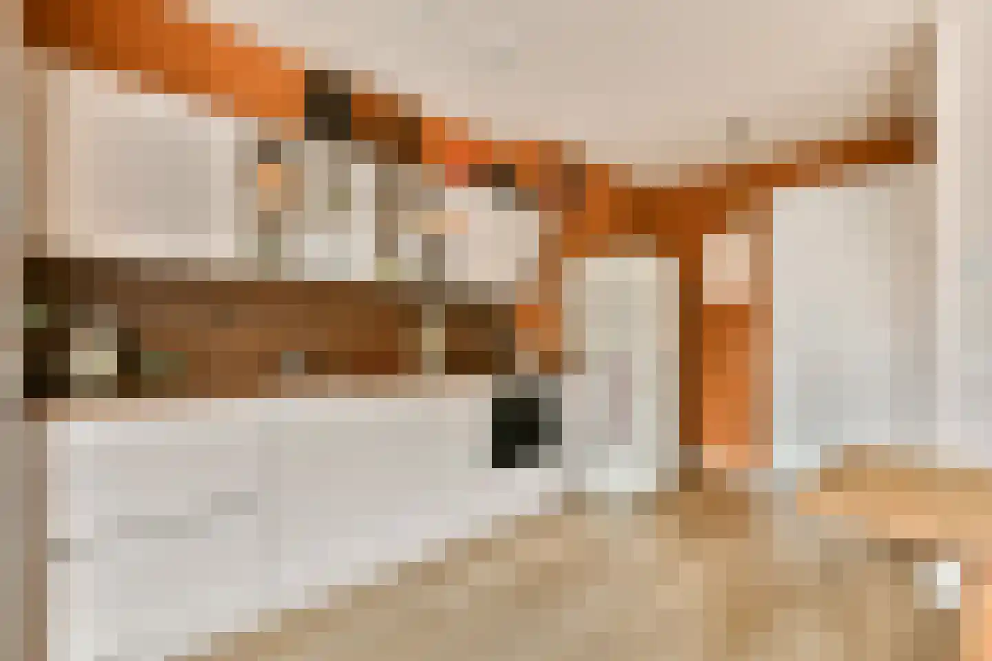 Bloemistenlaan 59 Leiden thumbnail 10