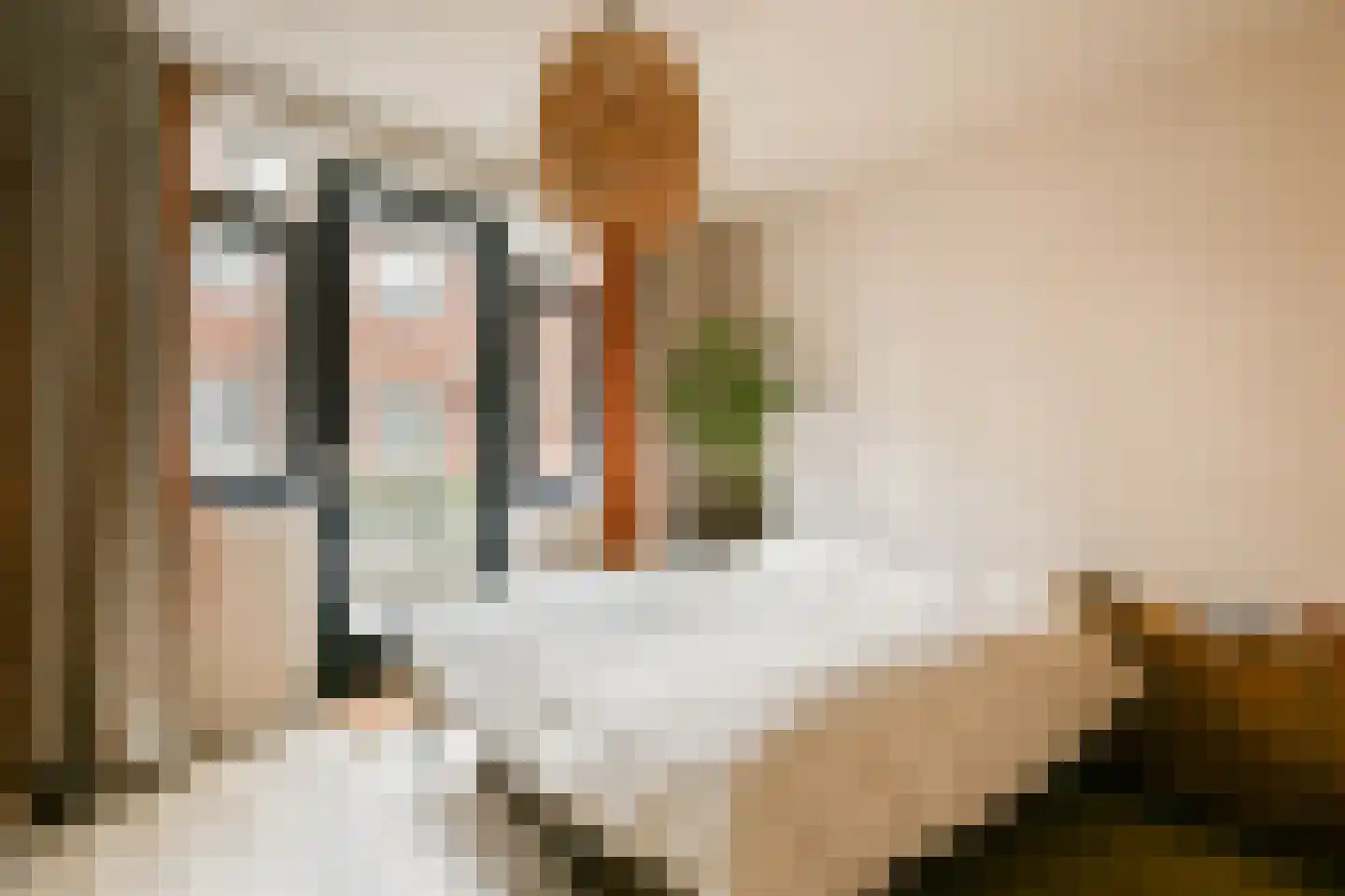 Bloemistenlaan 59 Leiden thumbnail 16