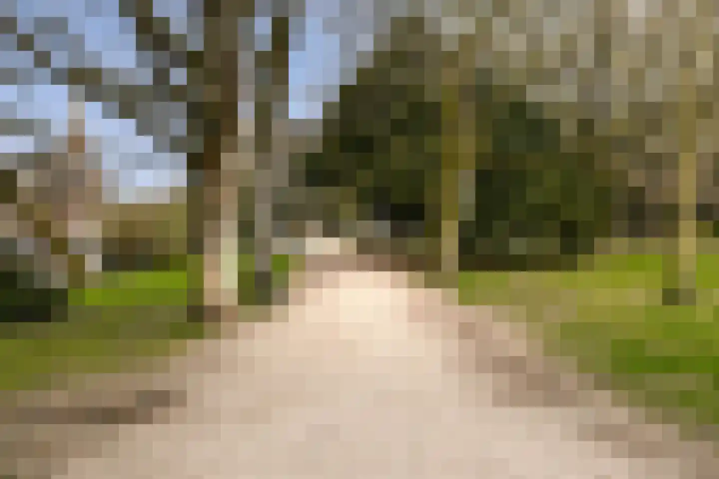 Bloemistenlaan 59 Leiden thumbnail 28