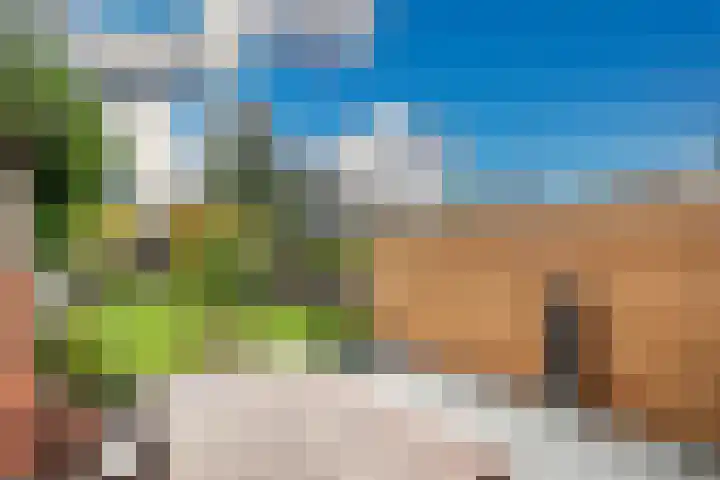 Bloemistenlaan 9 Leiden thumbnail 17