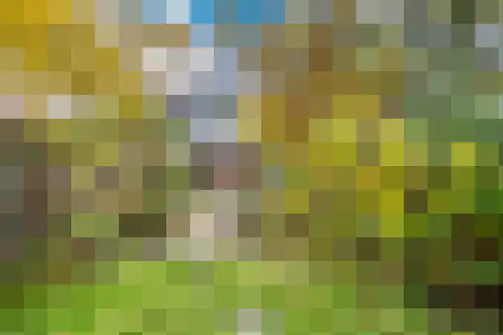 Bloemistenlaan 9 Leiden thumbnail 19