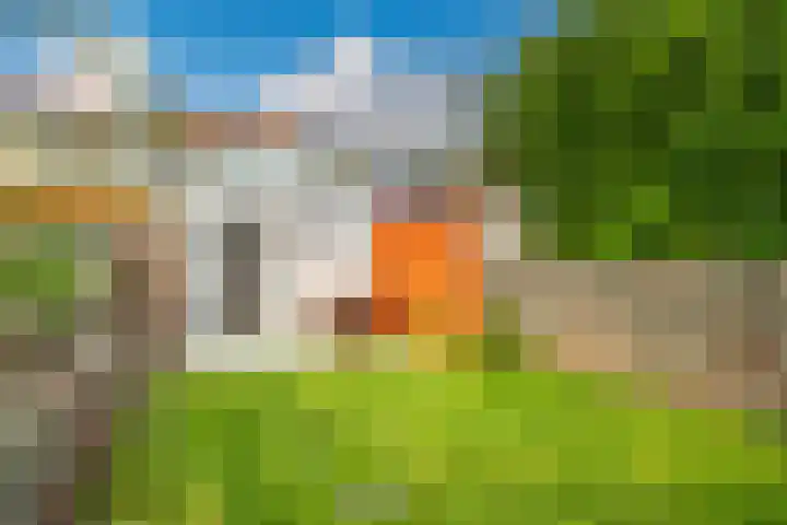 Bloemistenlaan 9 Leiden thumbnail 23