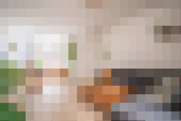 Bloemistenlaan 9 Leiden thumbnail 25