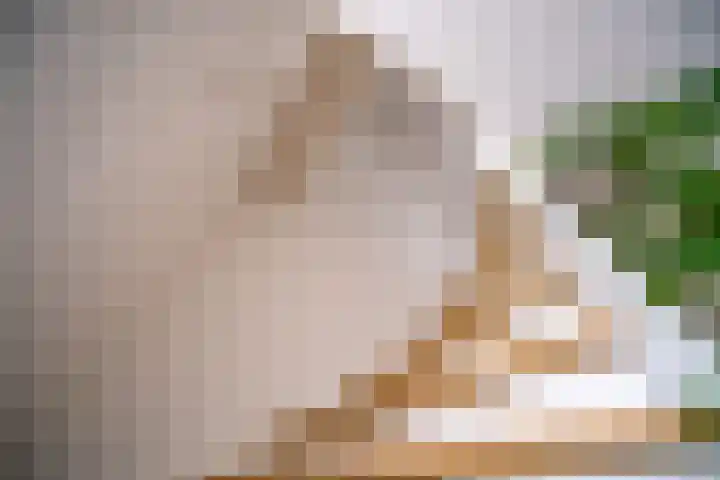 Bloemistenlaan 9 Leiden thumbnail 30