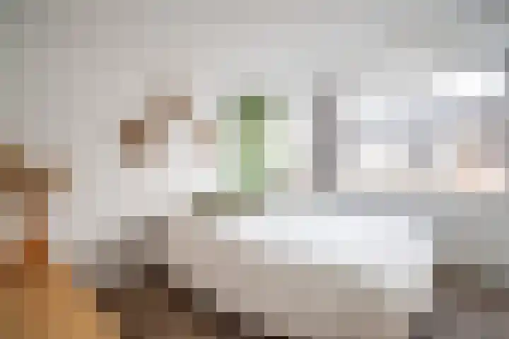 Bloemistenlaan 9 Leiden thumbnail 34