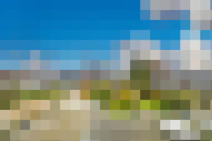 Bloemistenlaan 9 Leiden thumbnail 39