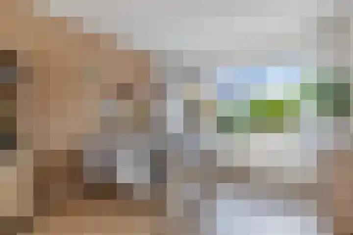 Bloemkamp 10 Drachten thumbnail 11