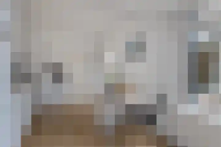 Bloemkamp 10 Drachten thumbnail 12