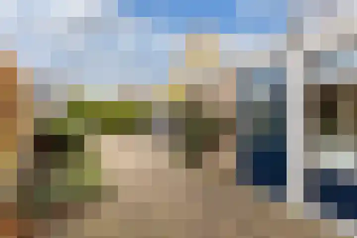 Bloemkamp 10 Drachten thumbnail 14