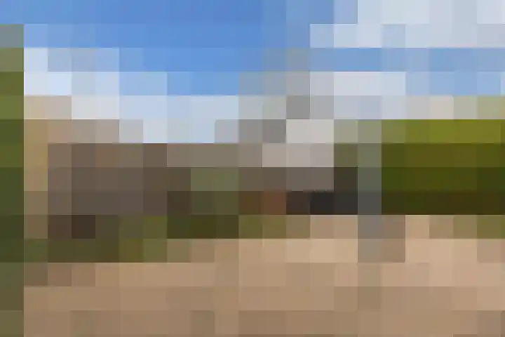 Bloemkamp 10 Drachten thumbnail 16