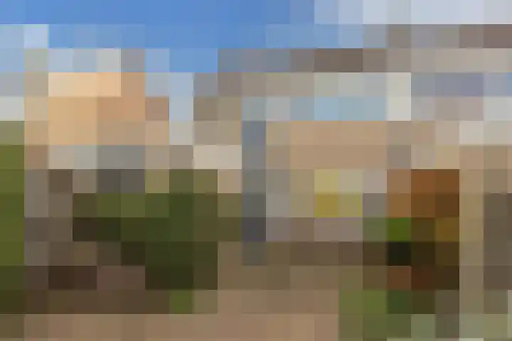 Bloemkamp 10 Drachten thumbnail 17