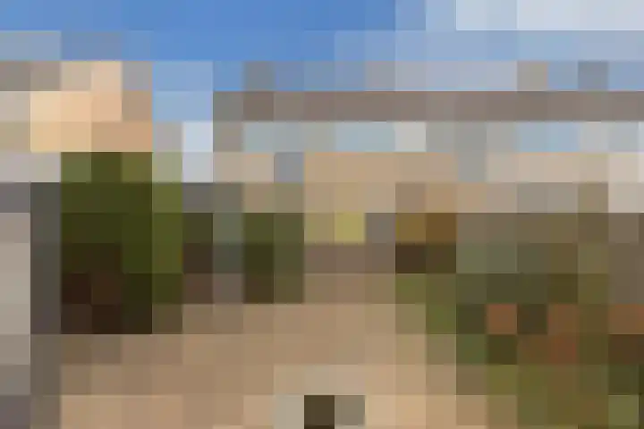 Bloemkamp 10 Drachten thumbnail 18