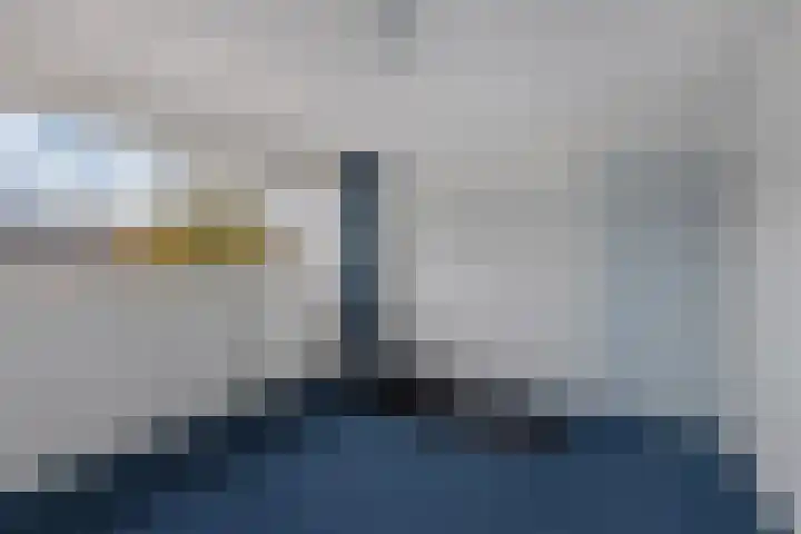 Bloemkamp 10 Drachten thumbnail 23