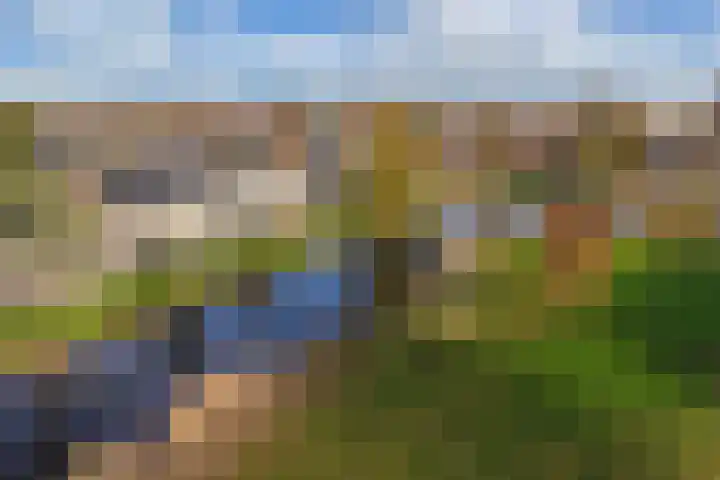 Bloemkamp 10 Drachten thumbnail 28