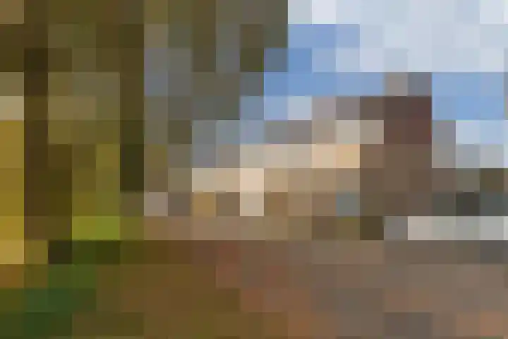 Bloemkamp 10 Drachten thumbnail 29
